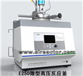 E250 micro high pressure reaction kettle
